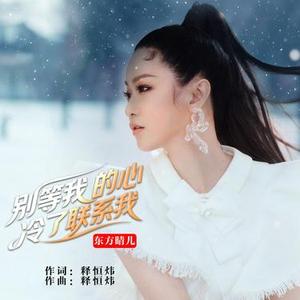 别等我的心冷了联系我 (DJ京仔版)