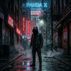 Shadow District