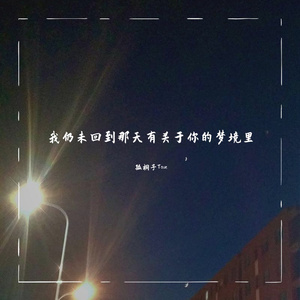 我仍未回到那天有关于你的梦境里