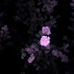 《完美罪证》案发现场-沅粥.wav