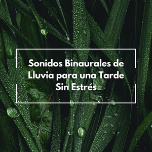 Relajante Rapsodia De Un Día Lluvioso