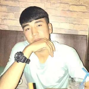 Sargardan (老牌吉他)