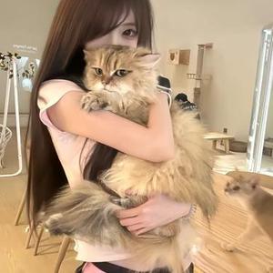 我可以跟在你身后