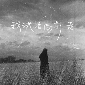 我试着向前走