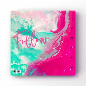 FOLLOW.（papaya remix）
