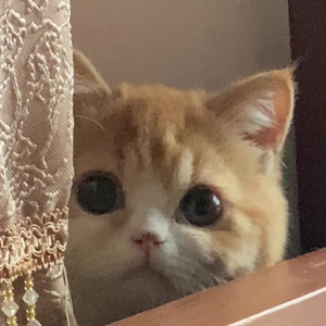 不期而遇的温暖