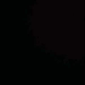 我愿平凡的陪在你身边（热搜版）