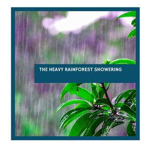 City Dust and Soft Rain