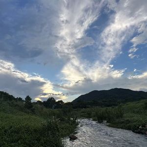 我好想你（Sorru remix）