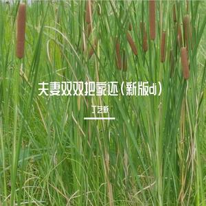 夫妻双双把家还 (DJ版)