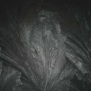 Nesibaigianti žiema