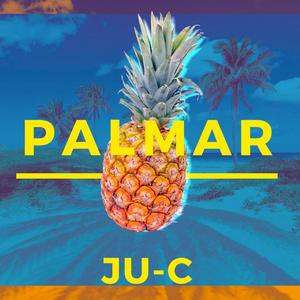 Palmar