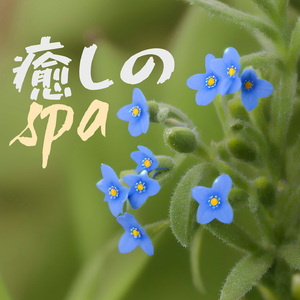 気分をスッキリさせる