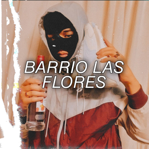 Barrio las Flores