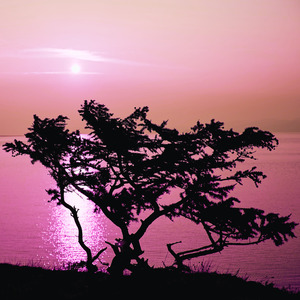 J'Comprends Pas (Remix)