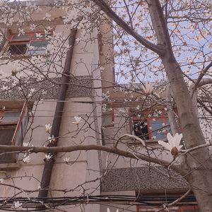 三月的风（March Wind）