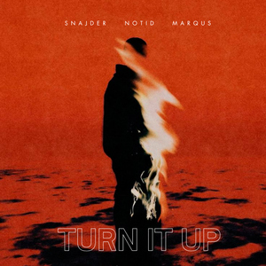 Turn It Up (Radio)