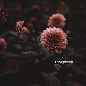 晚夜微雨问海棠