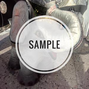 Sample beginning