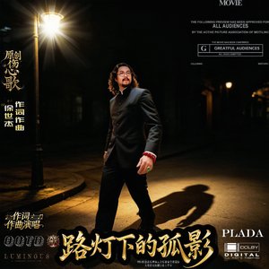路灯下的孤影