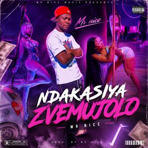 Ndakasiya zvemujolo (feat. Mr Nice)