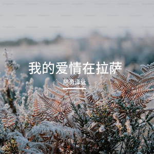 我的爱情在拉萨