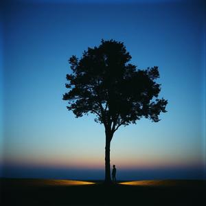 ทางแยกของหัวใจ - gaem by @whimsicalconcert6736