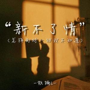 新不了情（怎样面对一切我不知道）