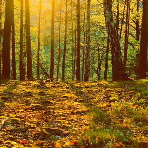 i hate that i miss you