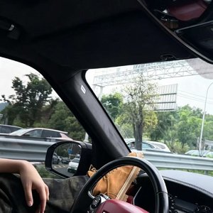 模特