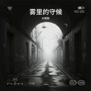 雾里的守候