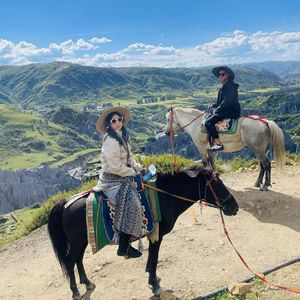 私人订制眸总专属（林越南 remix）