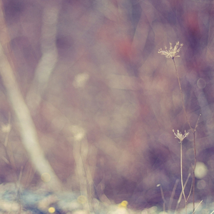 Minimalism (for Quiet Listening)