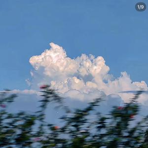 你走后风都变冷了