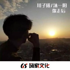 无奈落下伤心泪 (DJ版)