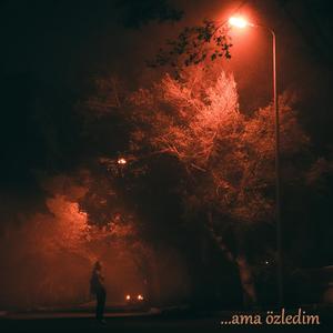 Ama Özledim