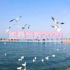 夺命十三枪 (思念版)