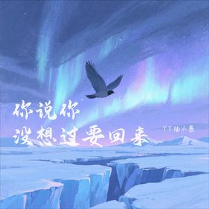 你说你没想过要回来
