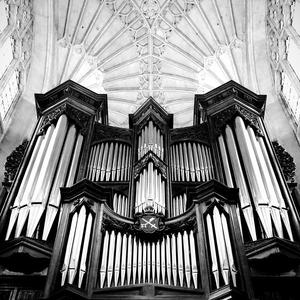 Popular（翻自 Wicked）