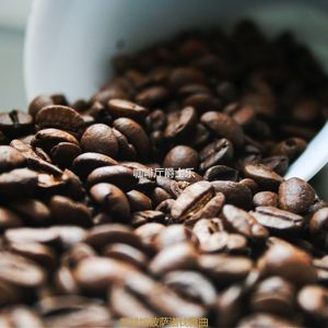 咖啡馆波萨诺伐舞曲