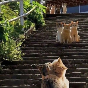 Соңғы жумсақ