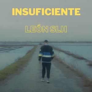 Insuficiente