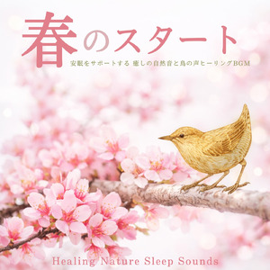 癒しの森とハープ - 鳥のさえずりで深い熟睡へ導くヒーリング音楽