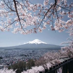 校园生活-整曲 伴奏