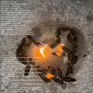 薄荷叶(End of this chapter)