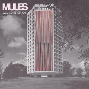 Things We Learn In Books