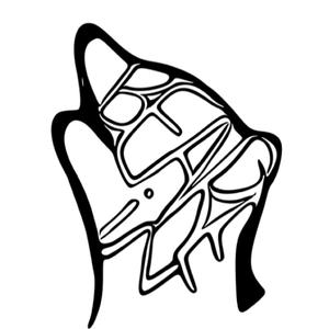 จะไม่ไปไหน-BEAREiN ft.fah