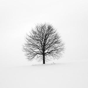 ”Nolienolove“trippie redd guitar type beat