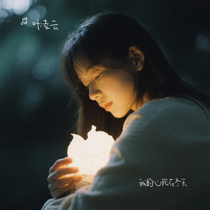 我的心死在冬天