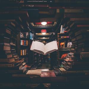 W.A.N Our Irreplaceble